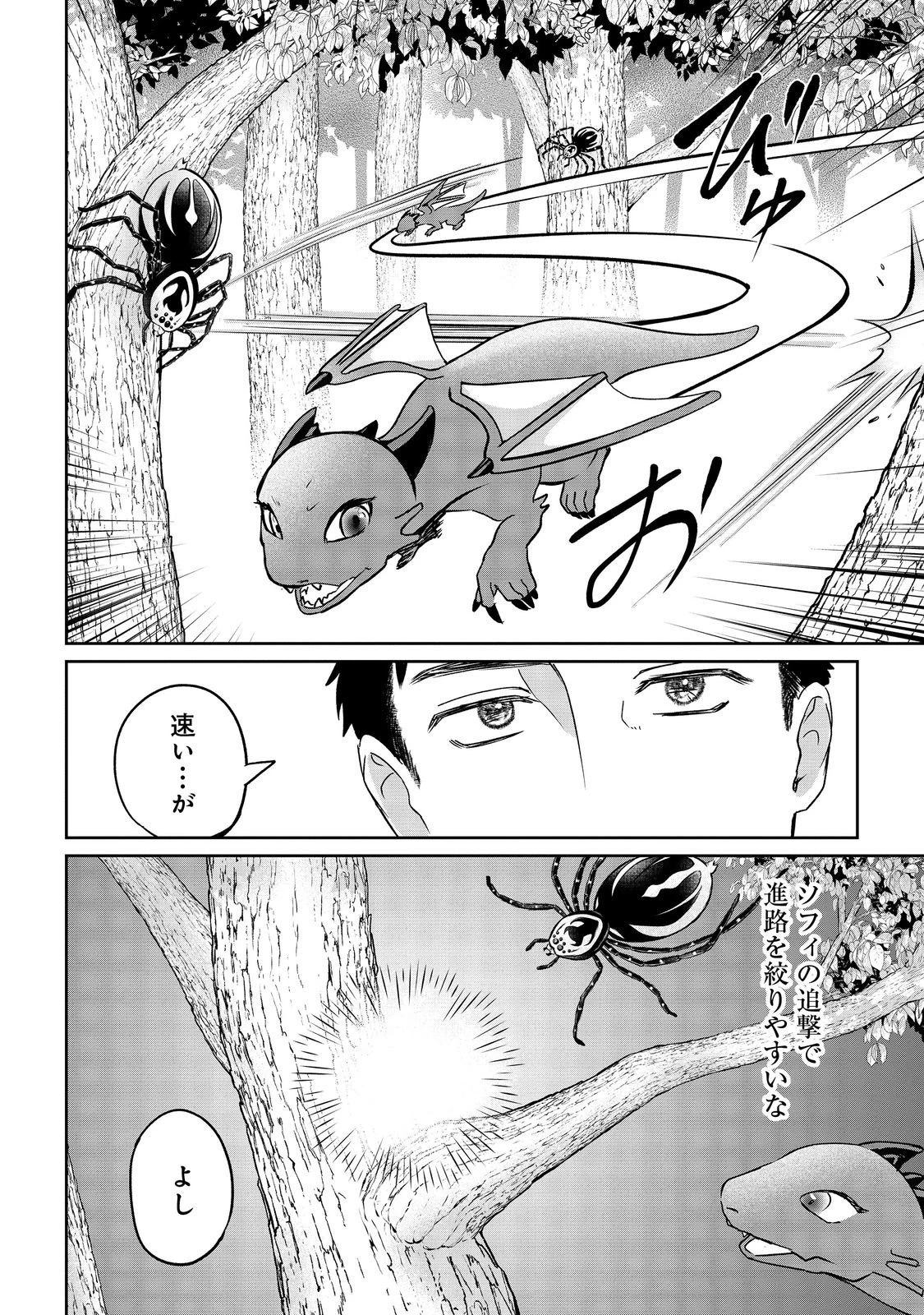 中年魔術師の悠々自適なダンジョン攻略～スキルオーブを使ったら最強スキルを手に入れたので、好きに生きようと思います～@COMIC 第25.2話 - 11