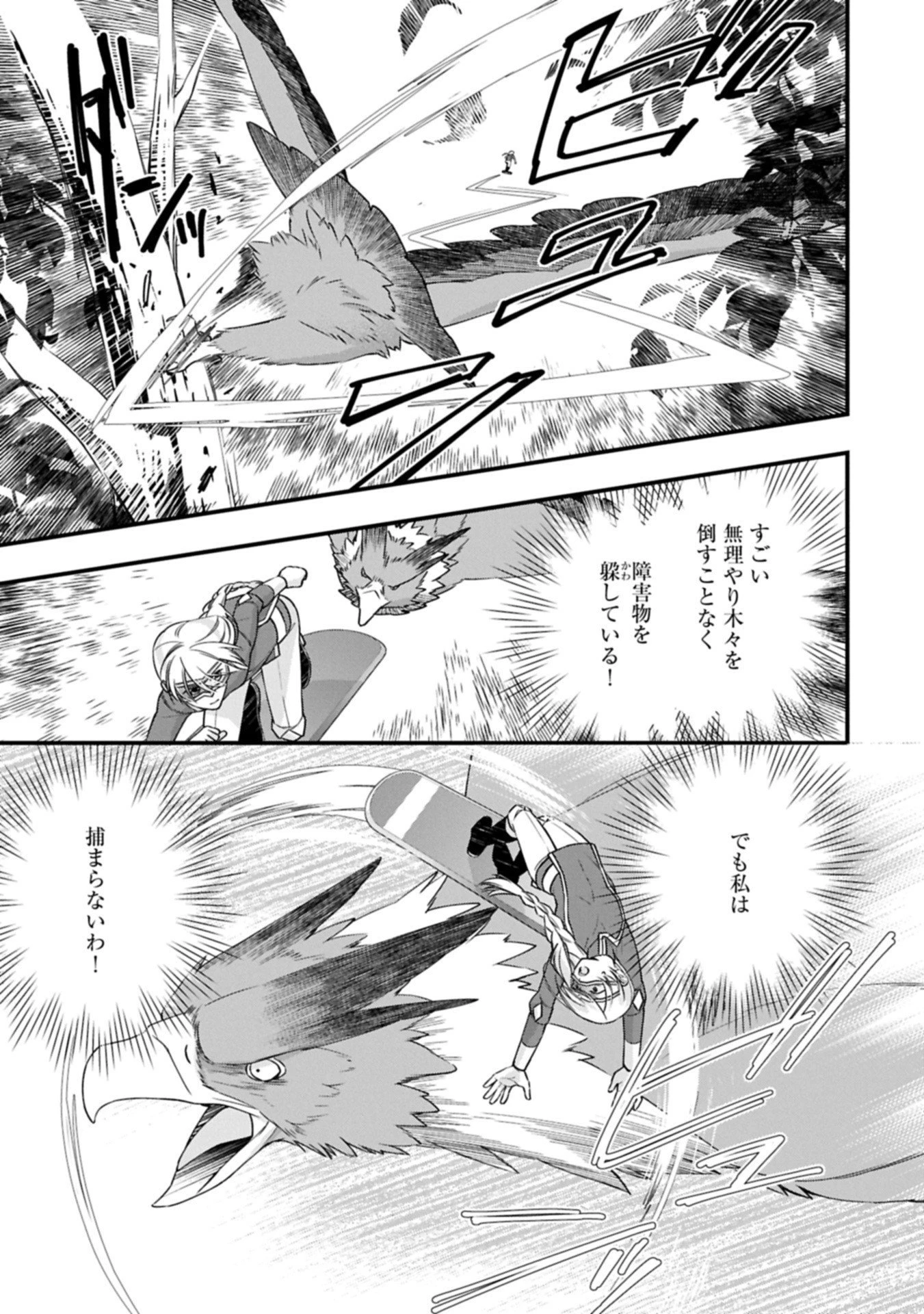 王空騎士団と救国の少女～空を飛ぶ少女アイリスの物語～ 第12.2話 - 5