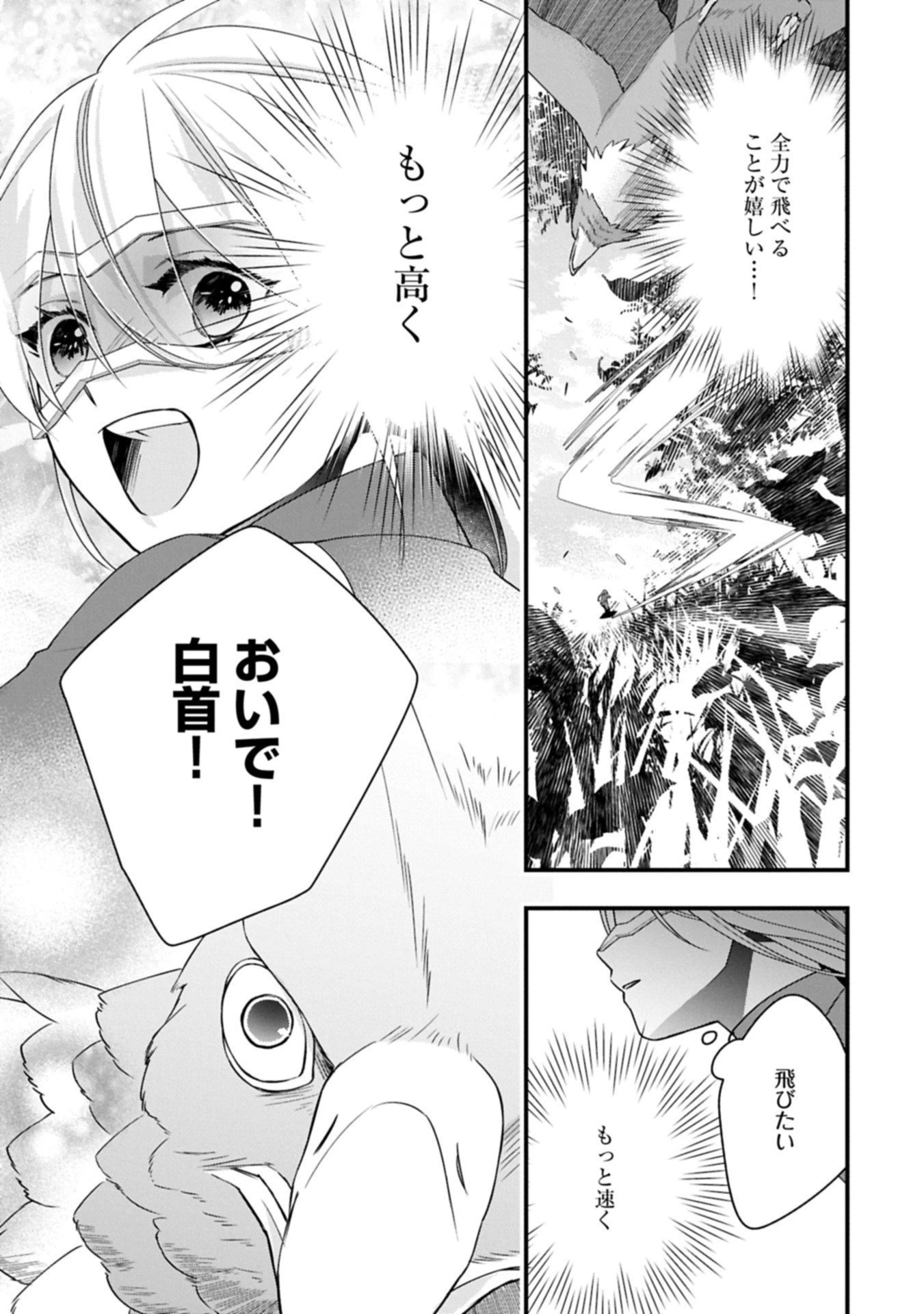 王空騎士団と救国の少女～空を飛ぶ少女アイリスの物語～ 第12.2話 - 7