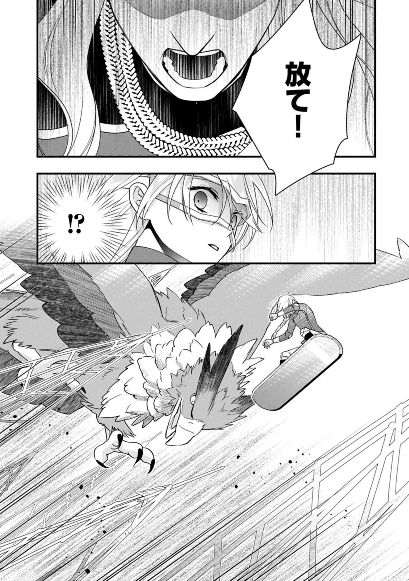 王空騎士団と救国の少女～空を飛ぶ少女アイリスの物語～ 第12.2話 - 9