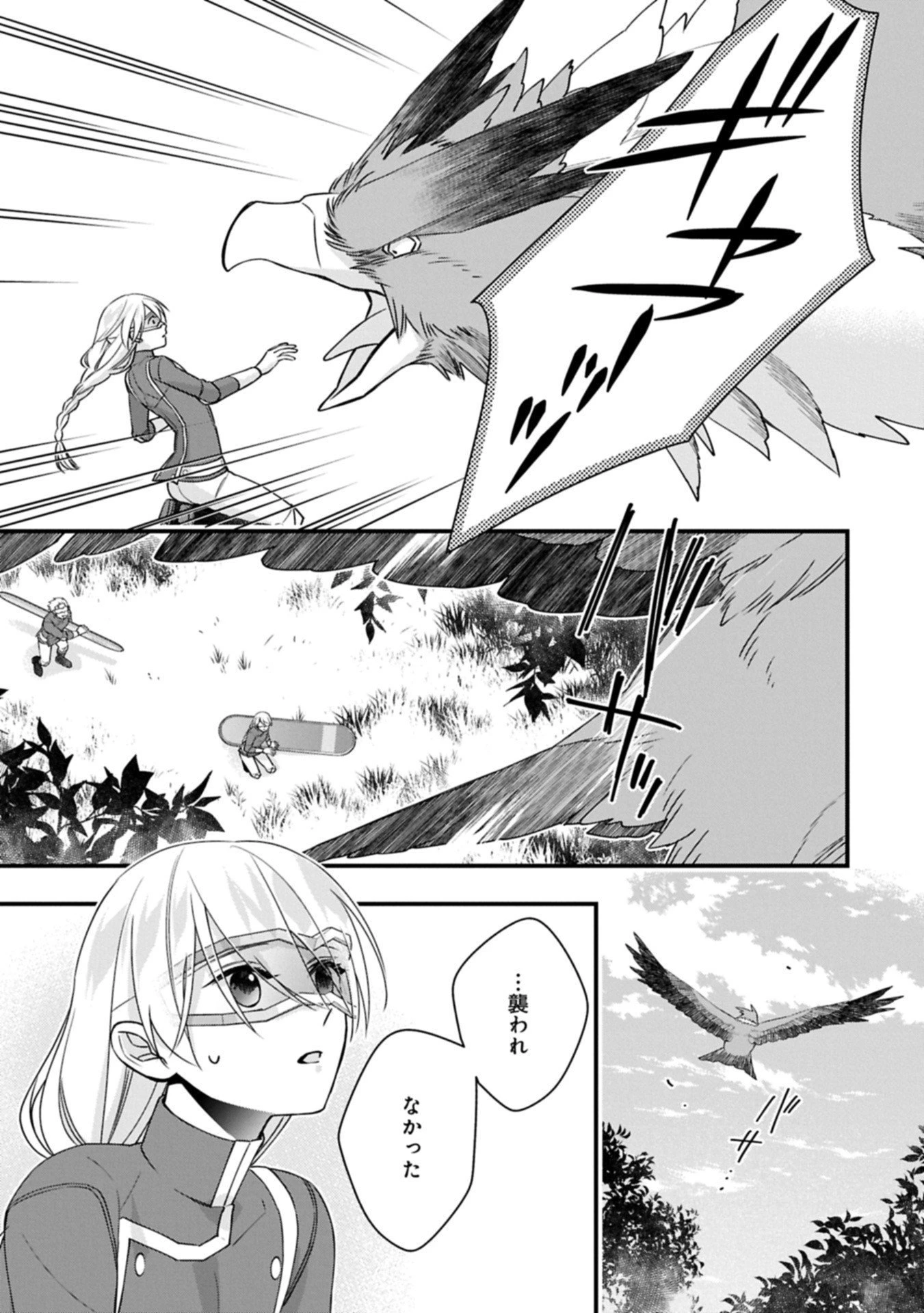 王空騎士団と救国の少女～空を飛ぶ少女アイリスの物語～ 第12.2話 - 15