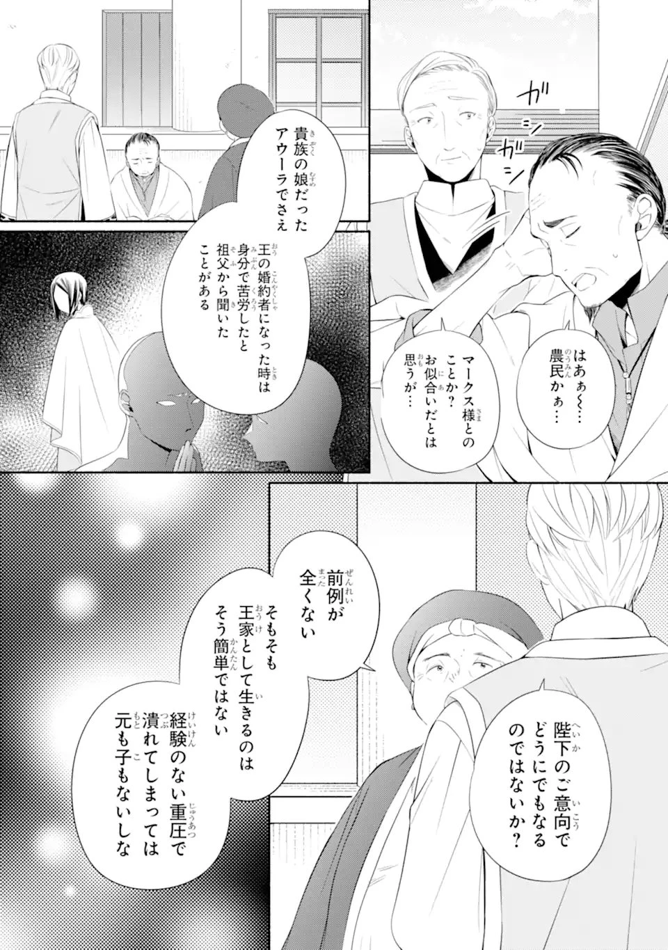 砂漠の国の雨降らし姫～前世で処刑された魔法使いは農家の娘になりました～ 第19.2話 - 11