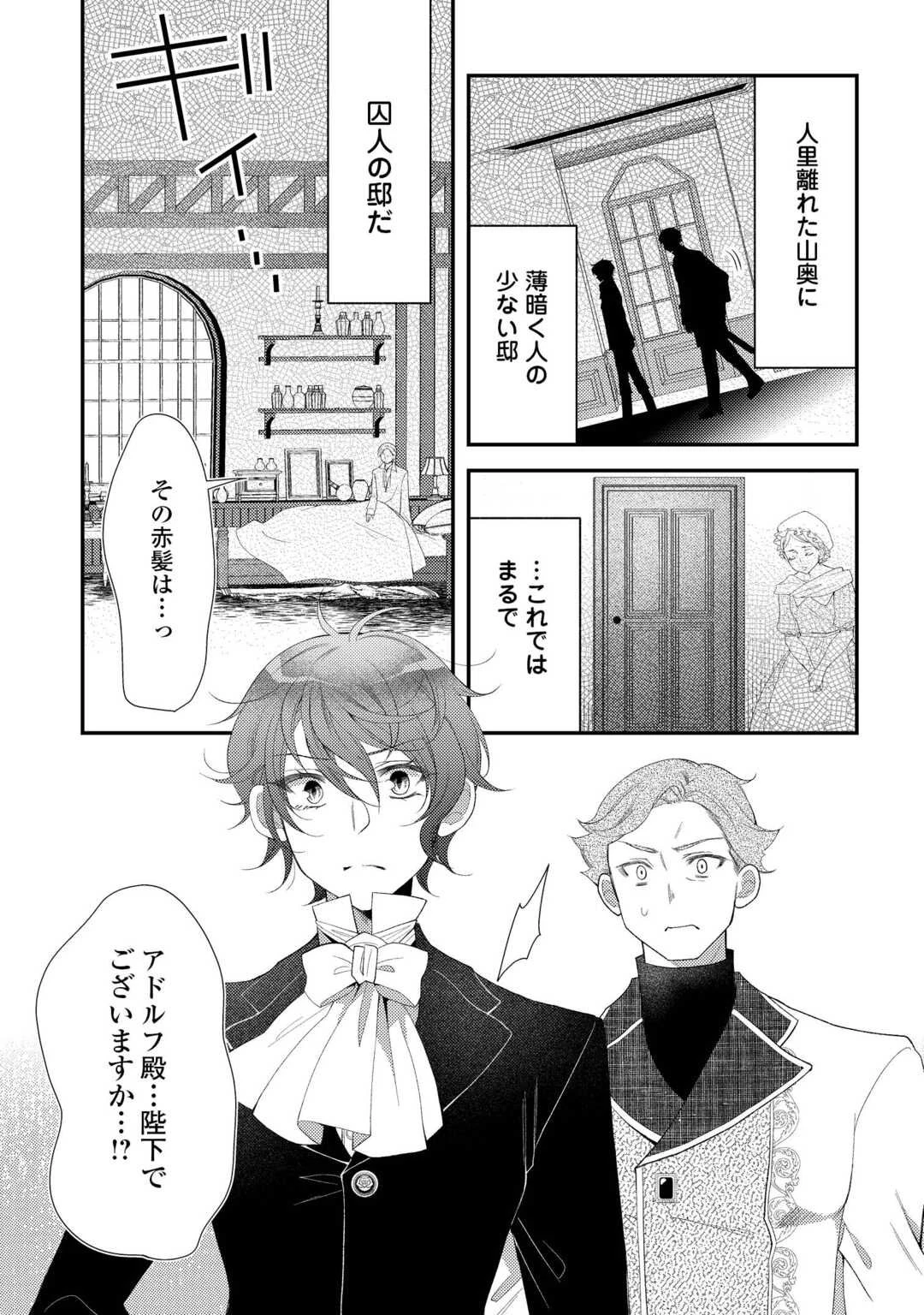 死んだ王妃は二度目の人生を楽しみます ーお飾りの王妃は必要ないのでしょう?ー 第11.5話 - 9