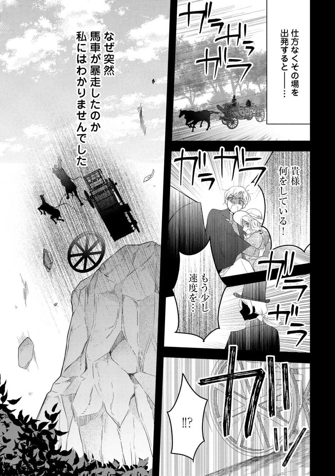 死んだ王妃は二度目の人生を楽しみます ーお飾りの王妃は必要ないのでしょう?ー 第11.5話 - 14