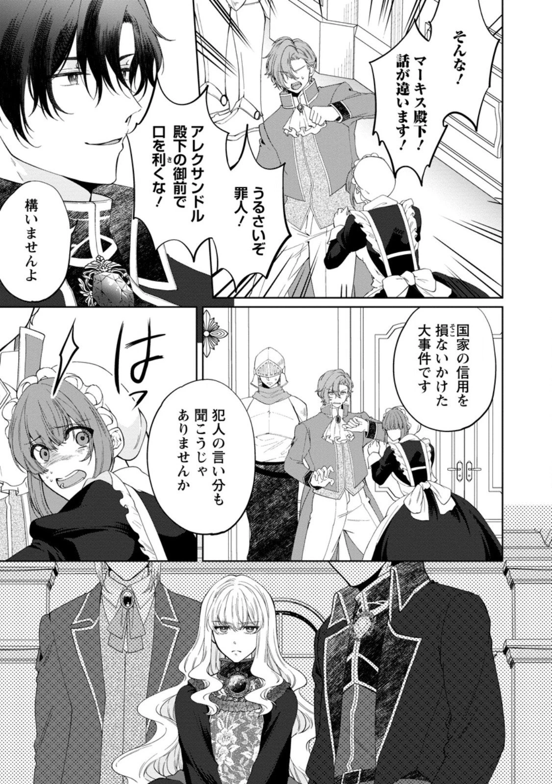 悪役令嬢の成り上がり～隣国で宝石の聖女と呼ばれるまで～ 第3.3話 - 7