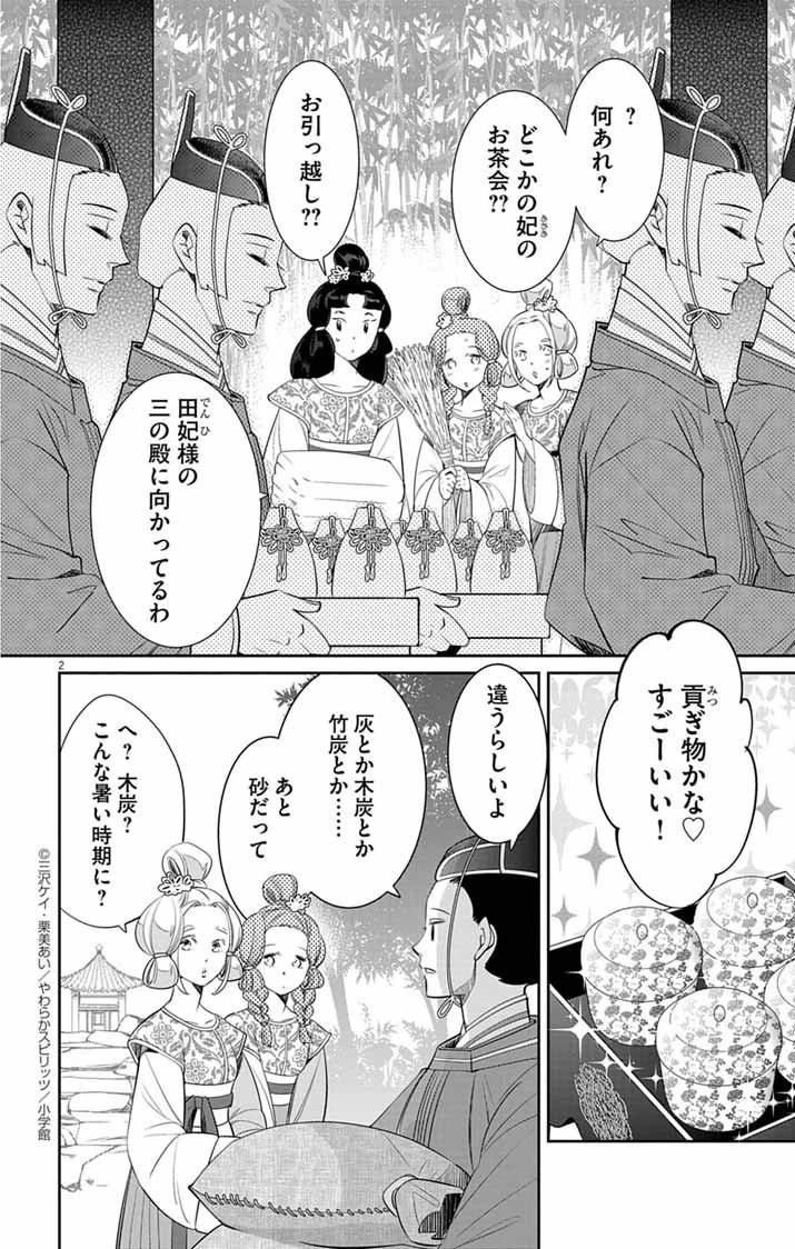 後宮の影公主～呪術師は謎を読む～ 第4話 - 2