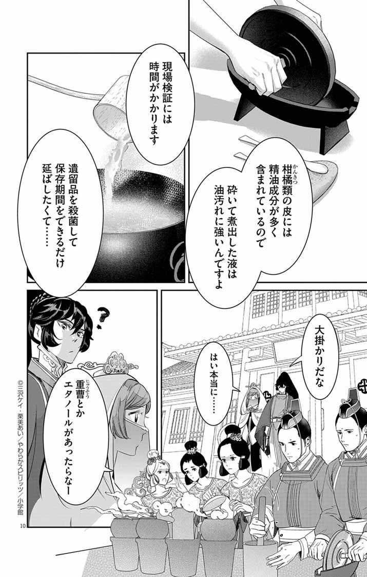 後宮の影公主～呪術師は謎を読む～ 第4話 - 10