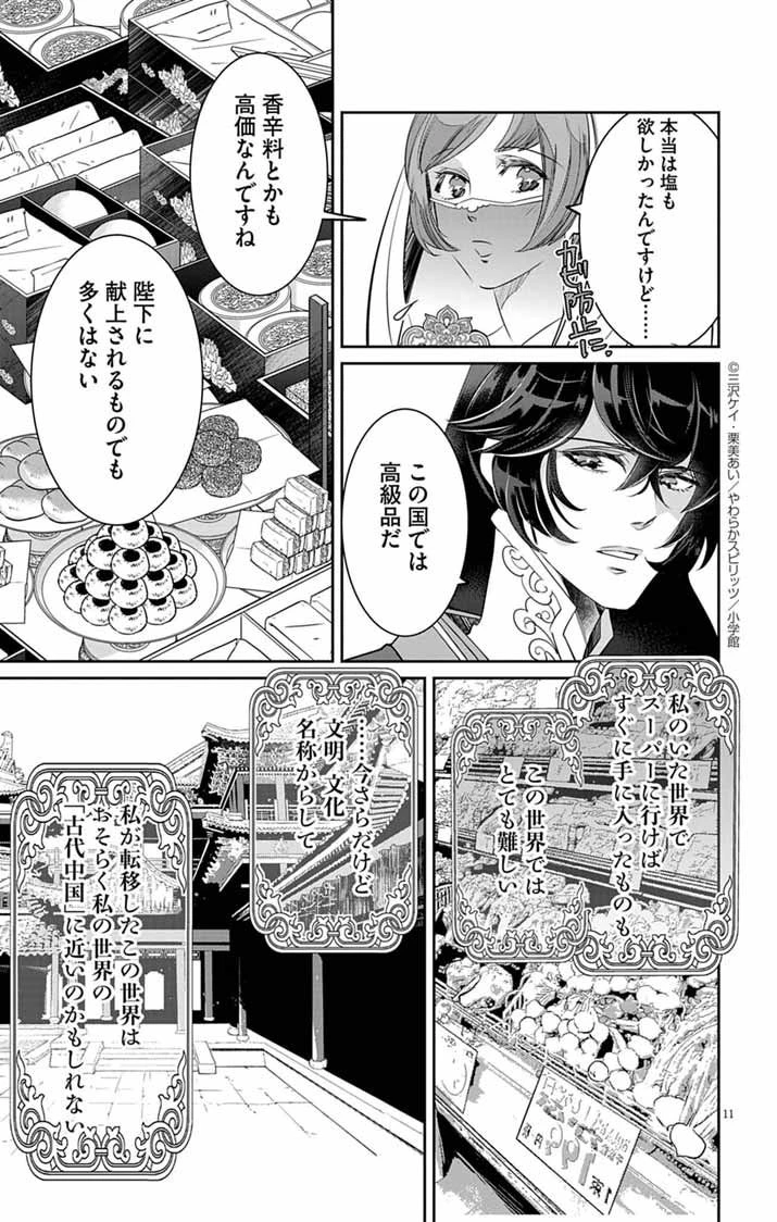 後宮の影公主～呪術師は謎を読む～ 第4話 - 11