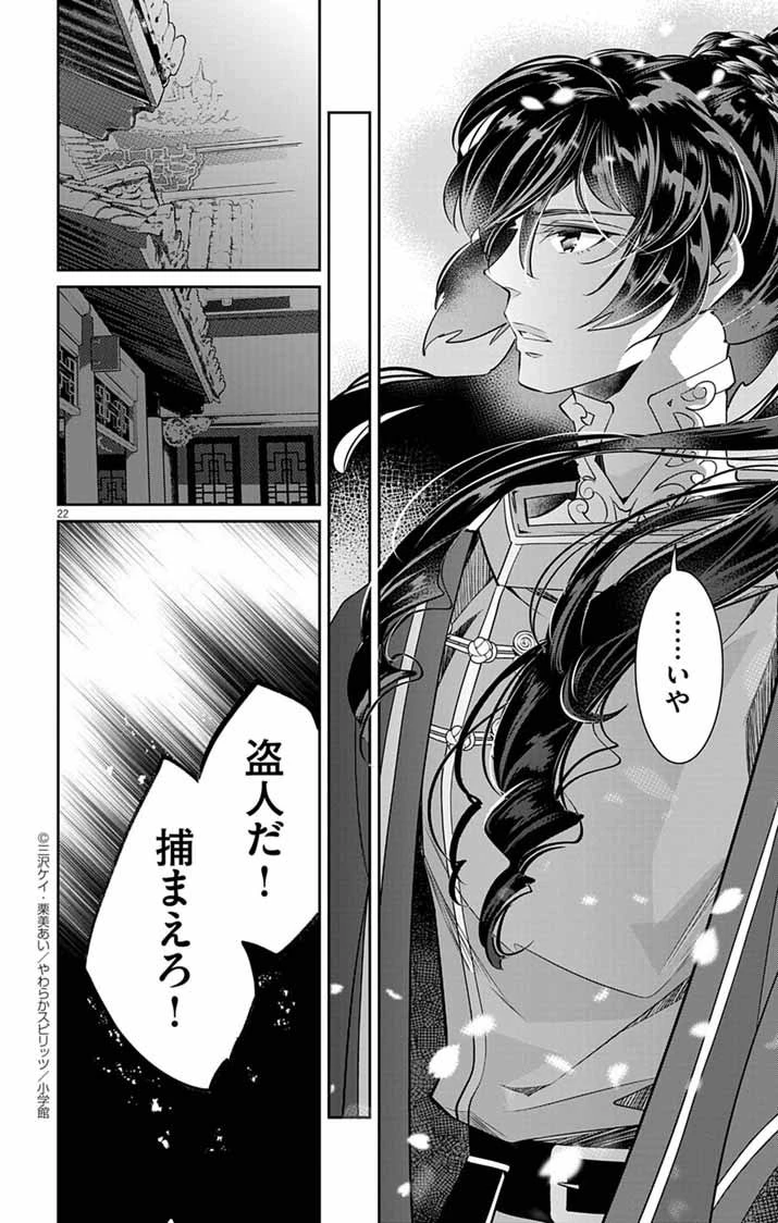 後宮の影公主～呪術師は謎を読む～ 第4話 - 22