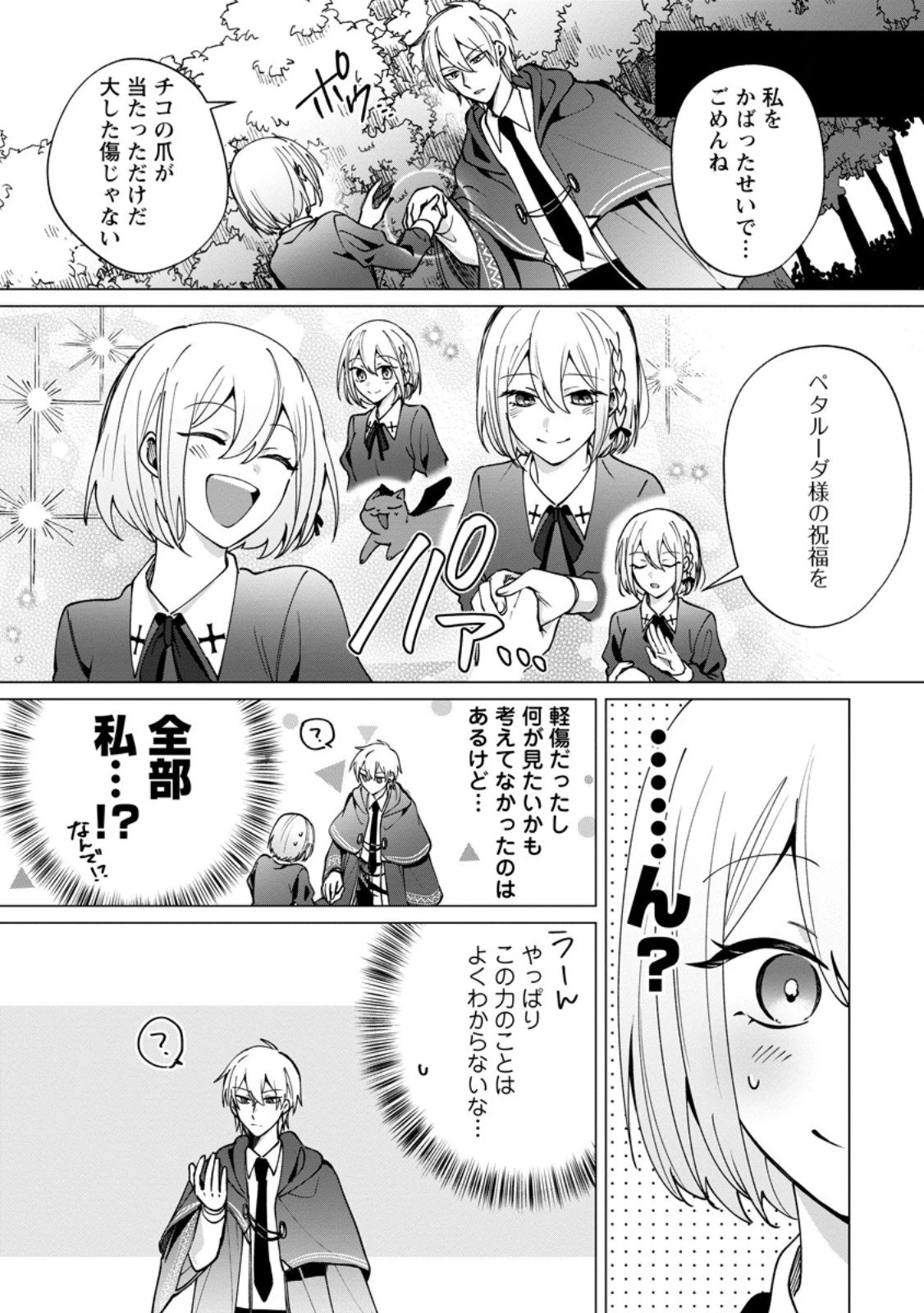 捨てられ聖女のもふもふ保護活動〜天才魔法使いと幻獣たちに愛されて幸せになります〜 第5.1話 - 8