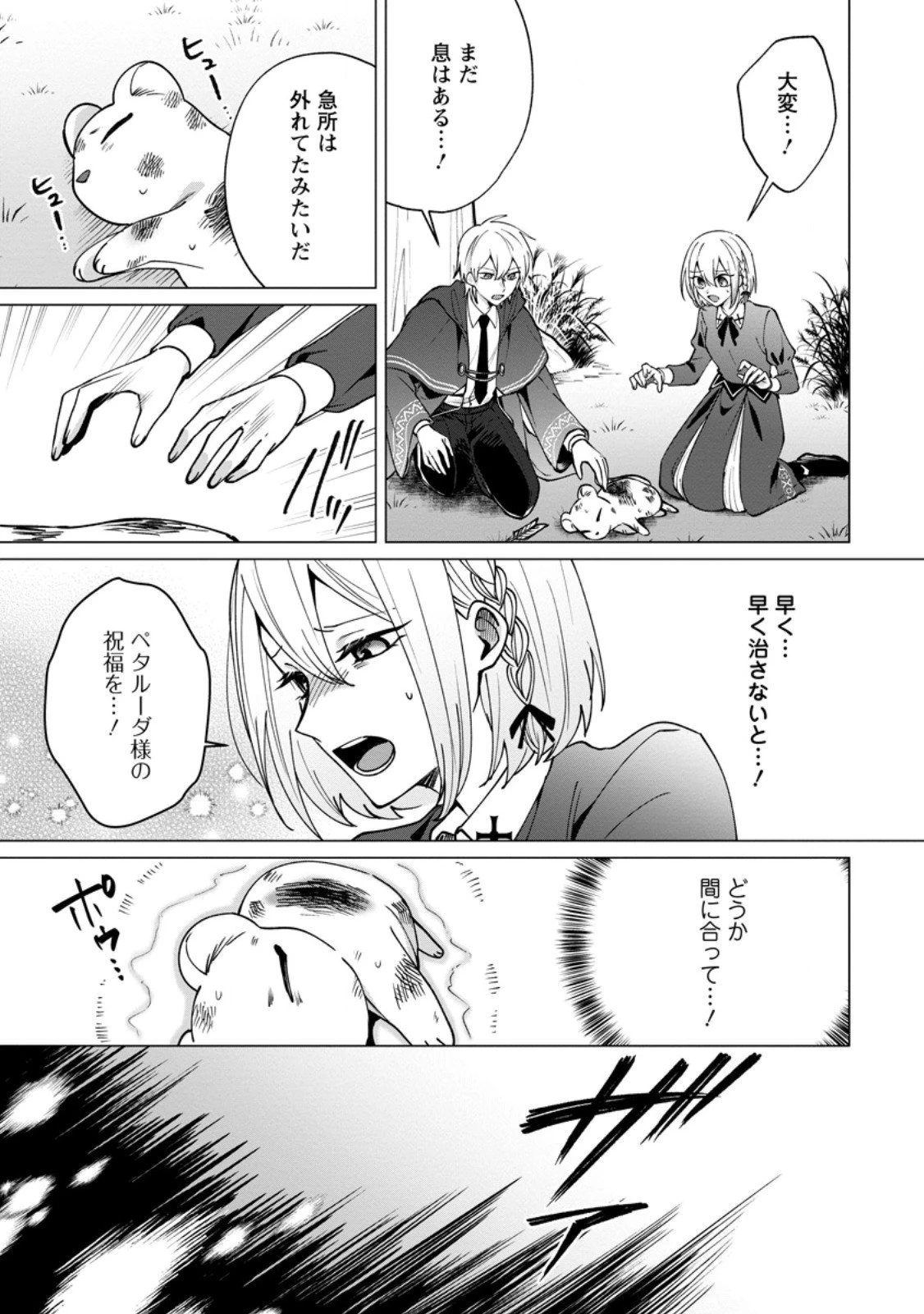 捨てられ聖女のもふもふ保護活動〜天才魔法使いと幻獣たちに愛されて幸せになります〜 第5.1話 - 11