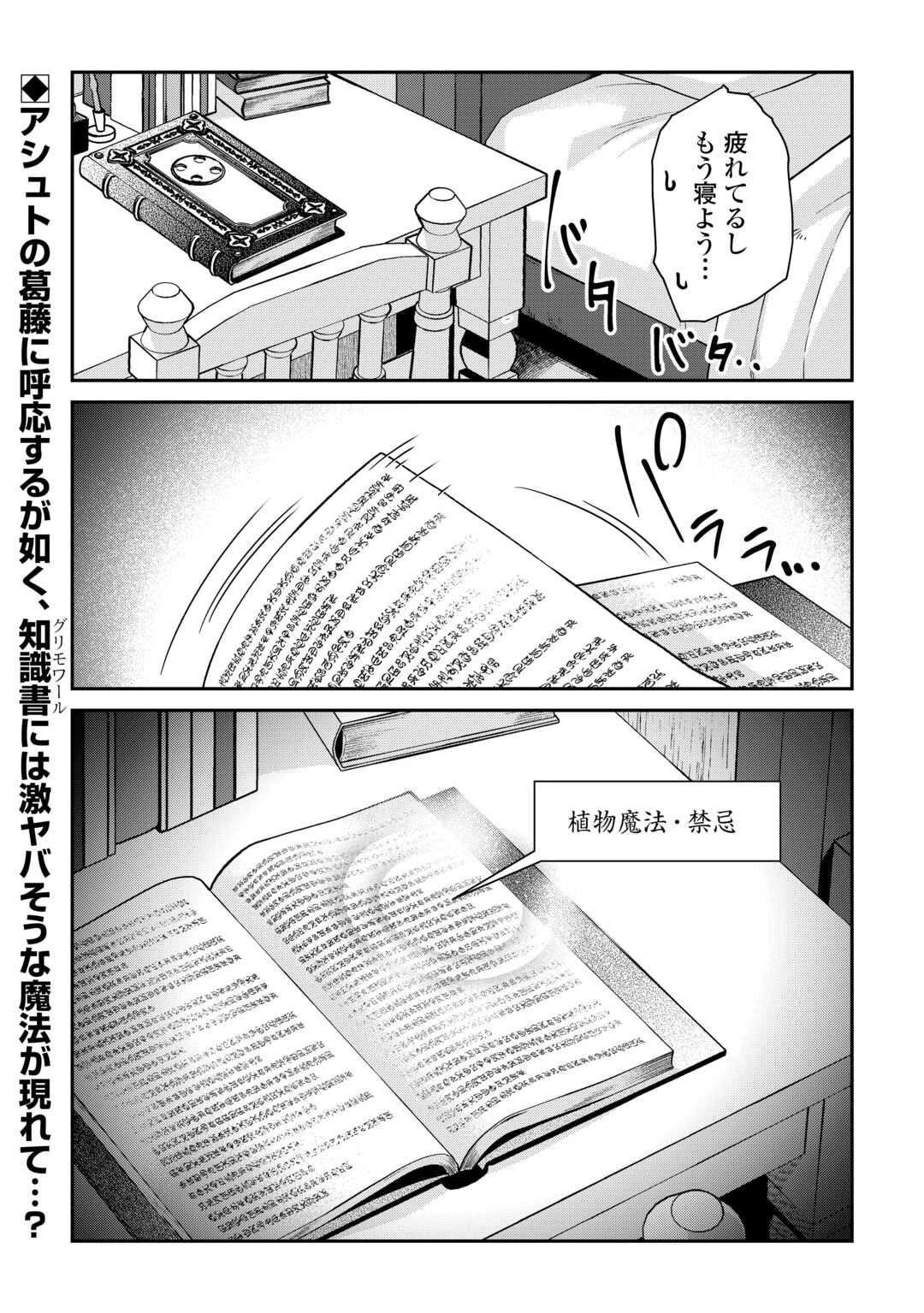 大自然の魔法師アシュト、廃れた領地でスローライフ 第51話 - 26