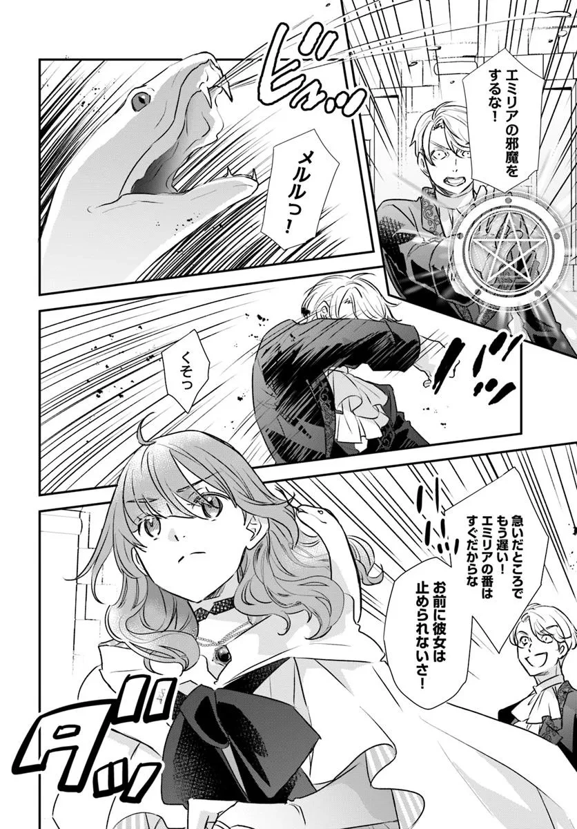 宮廷魔術師の婚約者 第26.3話 - 6