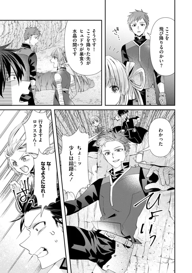レベルリセット～ゴミスキルだと勘違いしたけれど実はとんでもないチートスキルだった～ 第17.1話 - 9