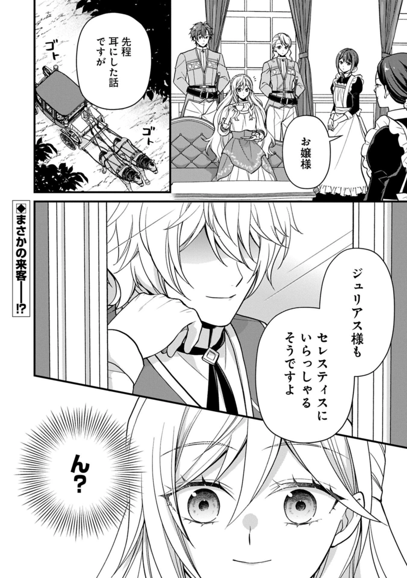 婚約解消のち、お引越し。セイラン・リゼルの気ままで優雅な生活。～才色兼備の転生令嬢は前世チートで自由を満喫します～ 第4.2話 - 14