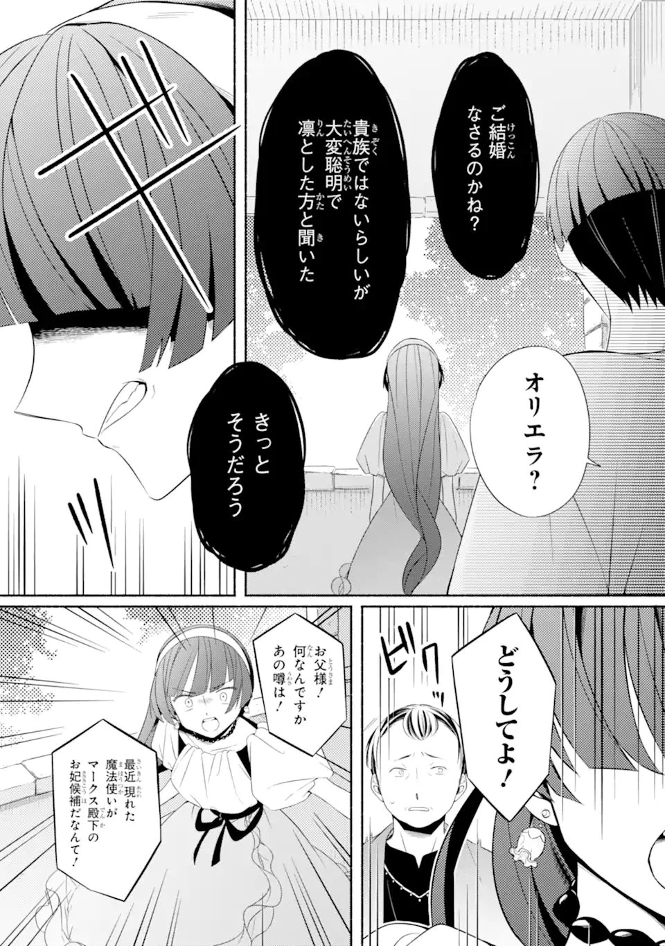 砂漠の国の雨降らし姫～前世で処刑された魔法使いは農家の娘になりました～ 第19.3話 - 7