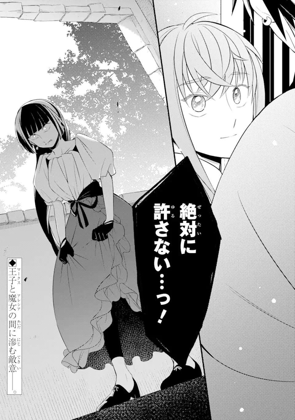 砂漠の国の雨降らし姫～前世で処刑された魔法使いは農家の娘になりました～ 第19.3話 - 10