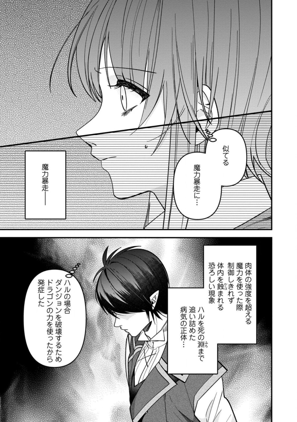 わたし、聖女じゃありませんから 第39.2話 - 4