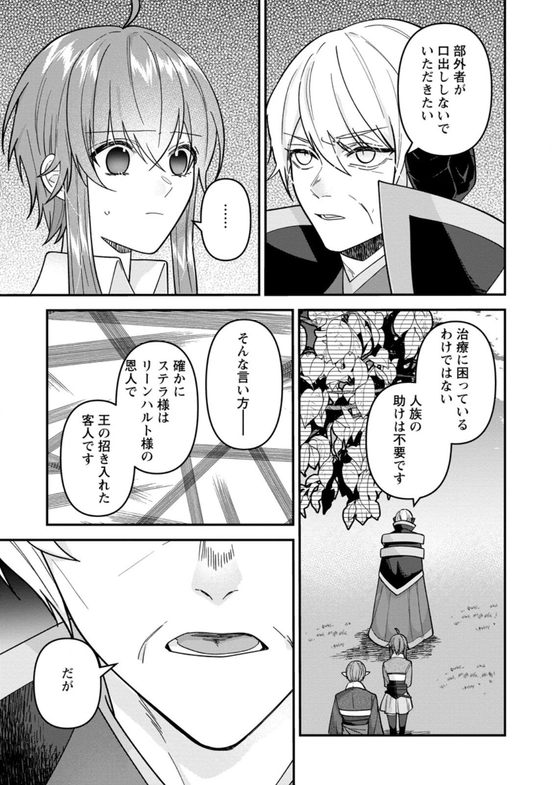 わたし、聖女じゃありませんから 第39.2話 - 8