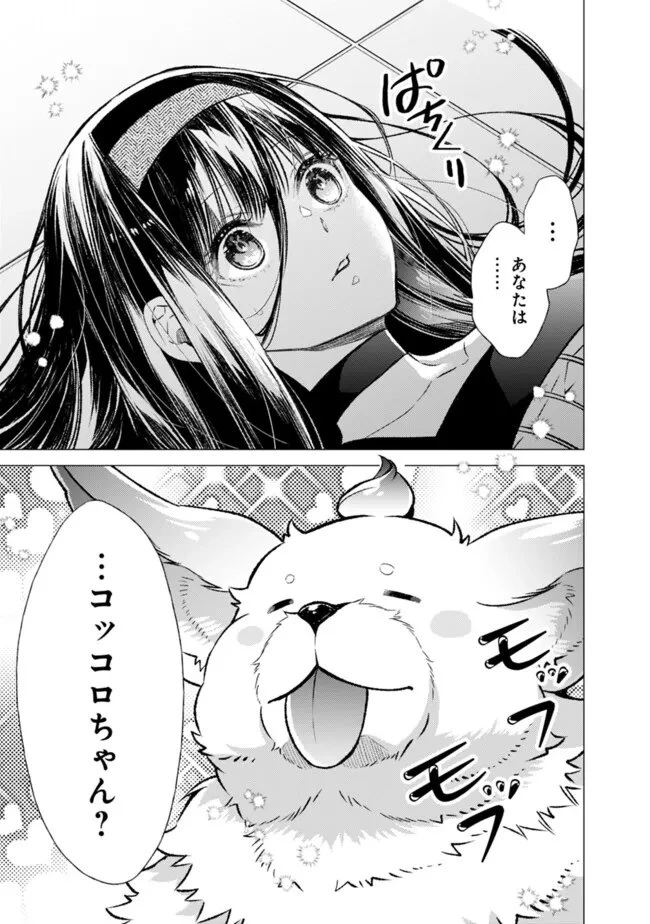 冷酷なる氷帝の、妻でございます ～義妹に婚約者を押し付けられたけど、意外と可愛い彼に溺愛され幸せに暮らしてる～ 第3.2話 - 13