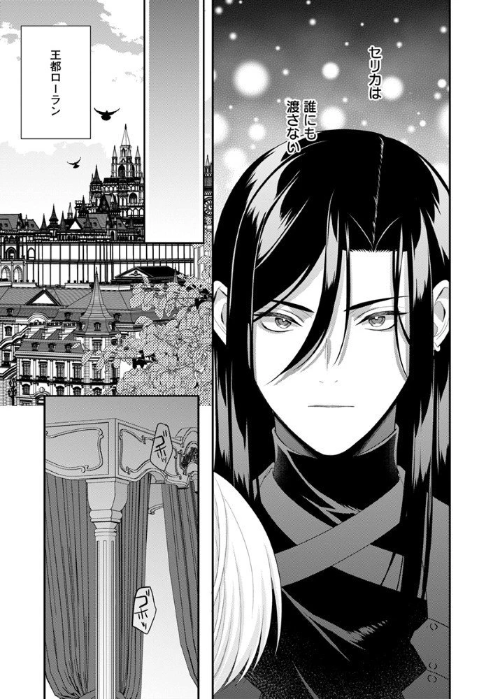 最恐魔法使いの愛が一途すぎる 封印された元聖女は禁忌の愛でお目覚めです 第5.5話 - 7