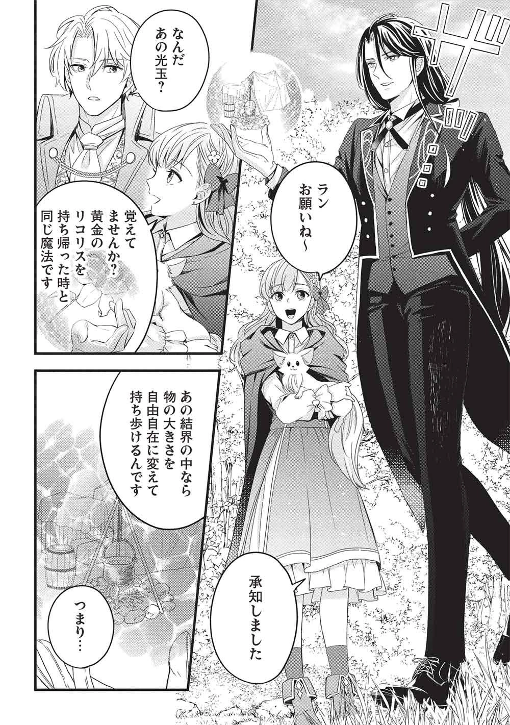 グランアヴェール～お守りの魔導師はラスボスお兄様を救いたい～ 第27話 - 14