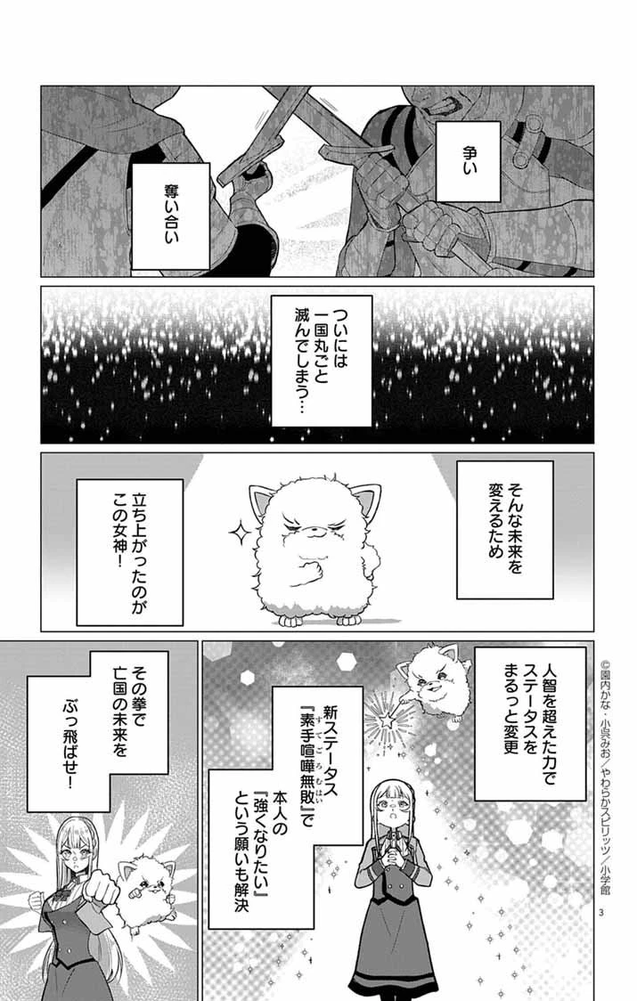 傾国の美姫はステータス変更で素手喧嘩無敗になりました 第3話 - 3