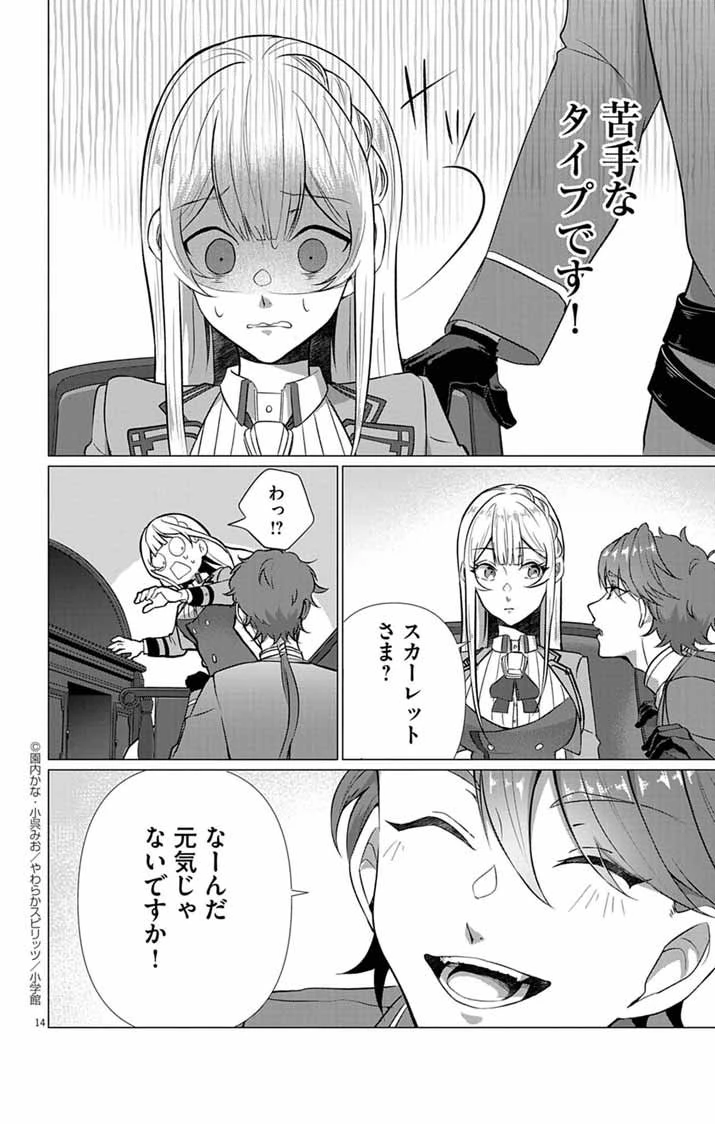 傾国の美姫はステータス変更で素手喧嘩無敗になりました 第3話 - 14