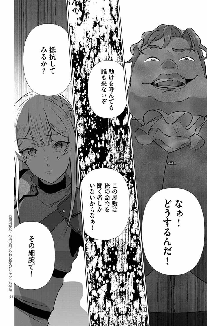 傾国の美姫はステータス変更で素手喧嘩無敗になりました 第3話 - 34