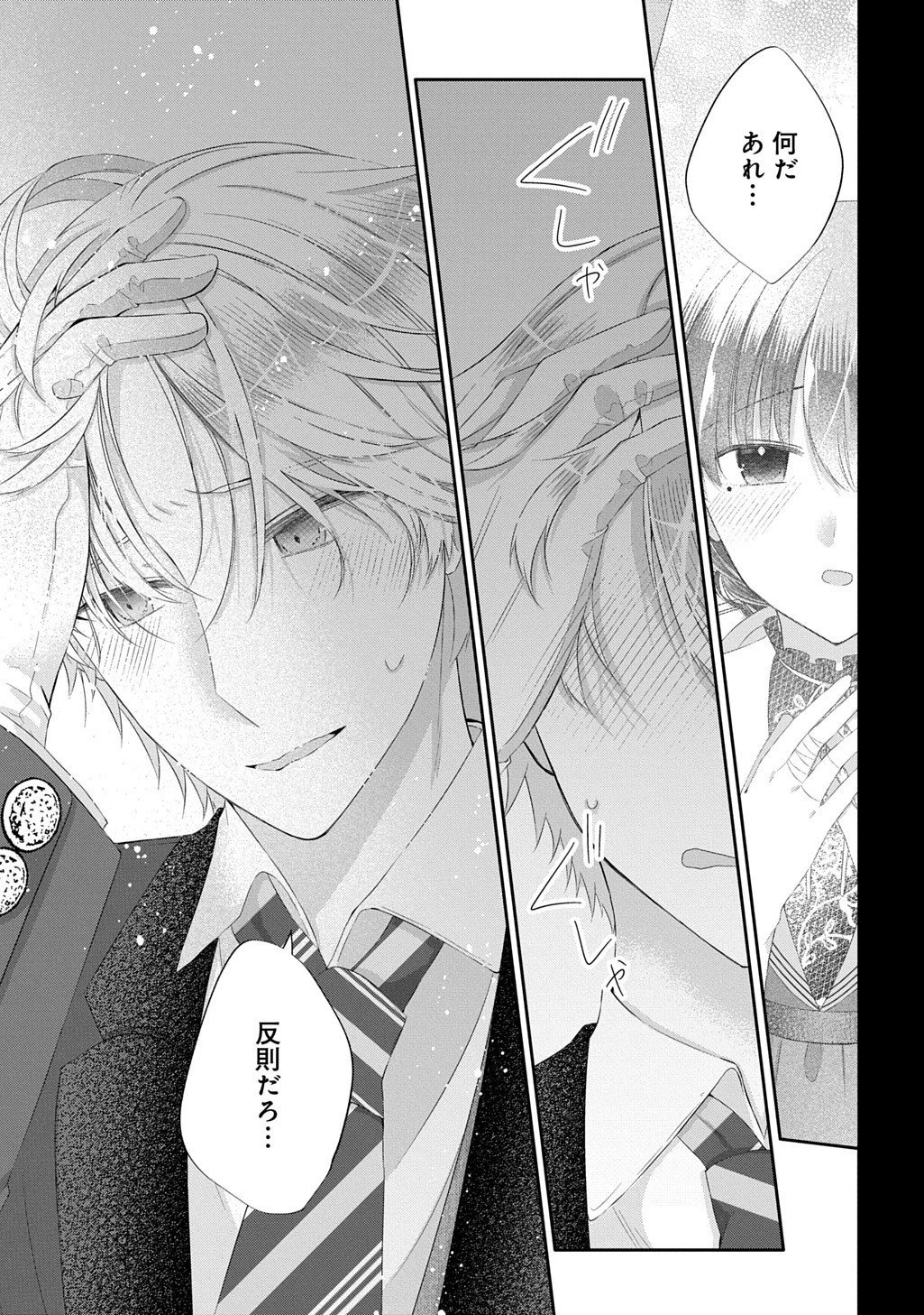 婚約破棄された『空気』な私、成り上がりの旦那様に嫁ぎました。 THE COMIC 第14.2話 - 20