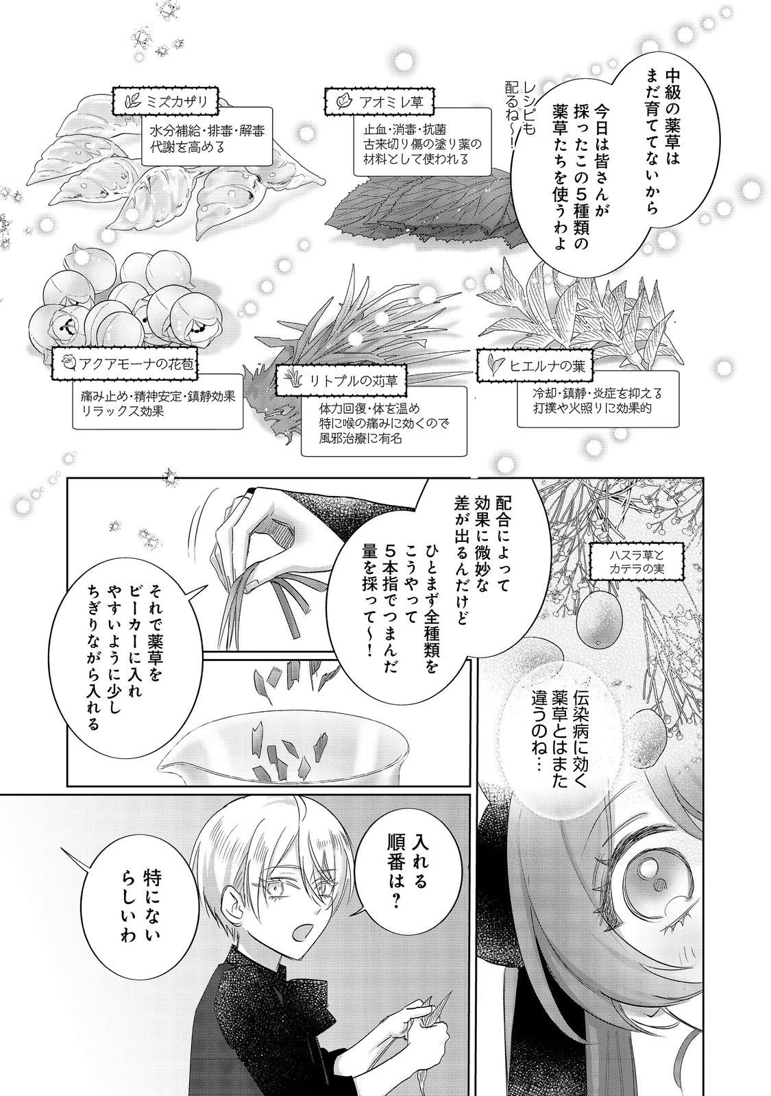 ポンコツ王太子のモブ姉王女らしいけど、悪役令嬢が可哀想なので助けようと思います～王女ルートがない！？なら作ればいいのよ！～@COMIC 第21話 - 9