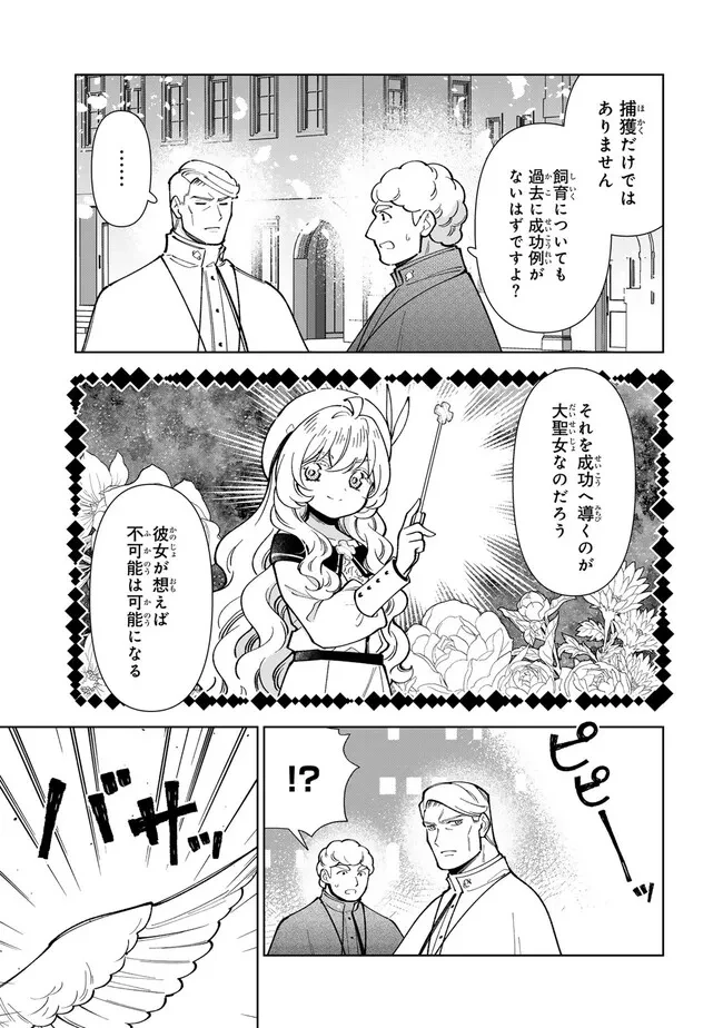 転生大聖女の異世界のんびり紀行 第52.1話 - 7