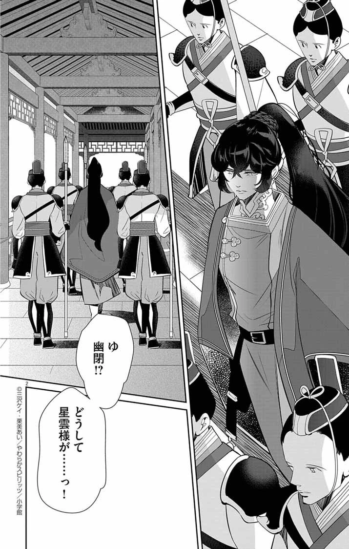 後宮の影公主～呪術師は謎を読む～ 第5話 - 2