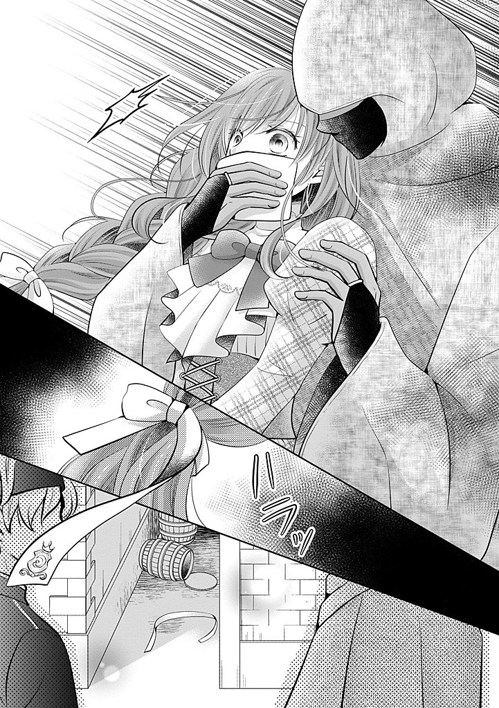 美形王子が苦手な破天荒モブ令嬢は自分らしく生きていきたい！ 第26.2話 - 13