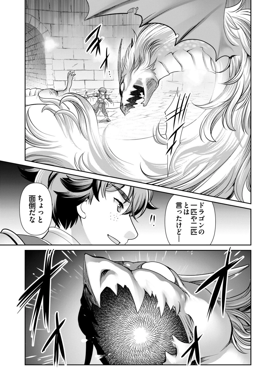 千のスキルを持つ男　異世界で召喚獣はじめました！ 第73話 - 17