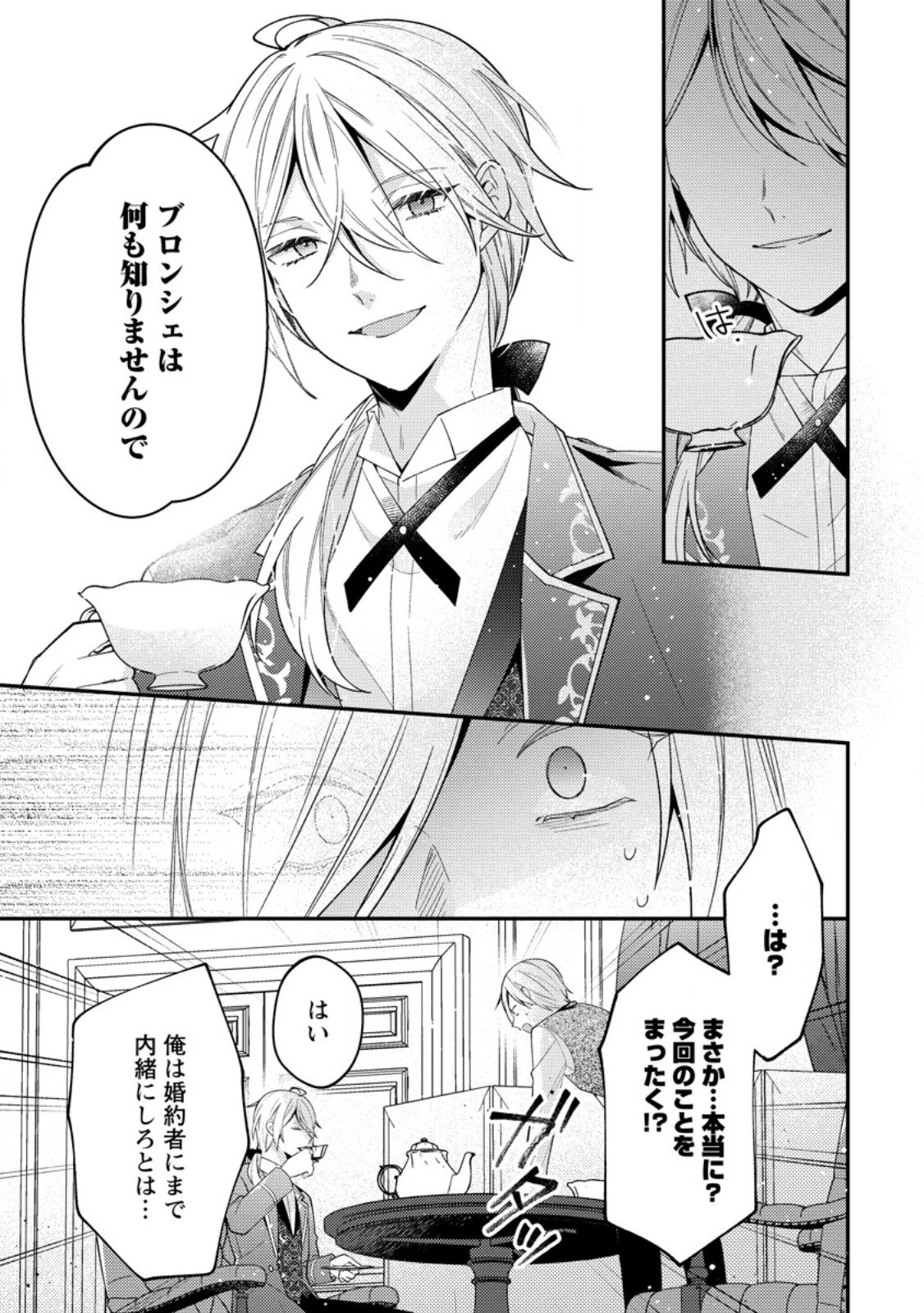 私の婚約者様の毒舌が過ぎる～みんなに塩対応のはずが私は溺愛されています～ 第8.3話 - 3