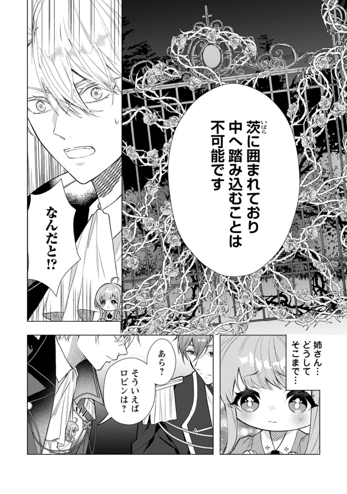シンデレラの姉ですが、不本意ながら王子と結婚することになりました～身代わり王太子妃は離宮でスローライフを満喫する～ 第28.4話 - 3