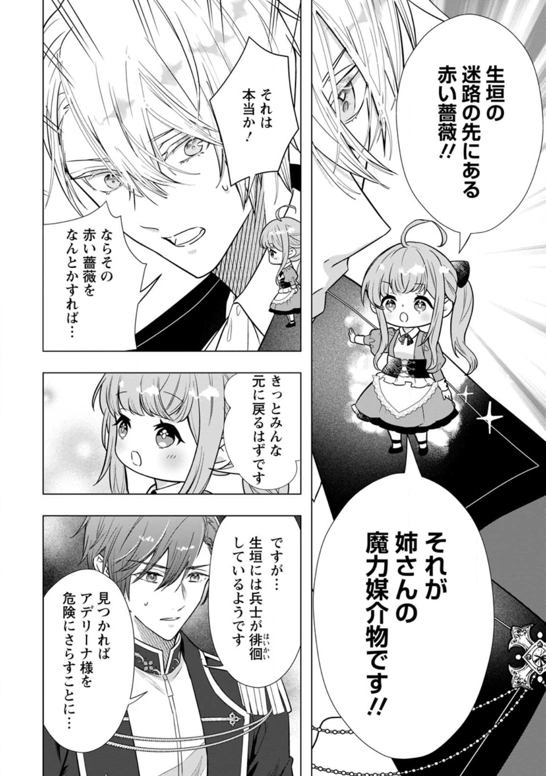 シンデレラの姉ですが、不本意ながら王子と結婚することになりました～身代わり王太子妃は離宮でスローライフを満喫する～ 第28.4話 - 9