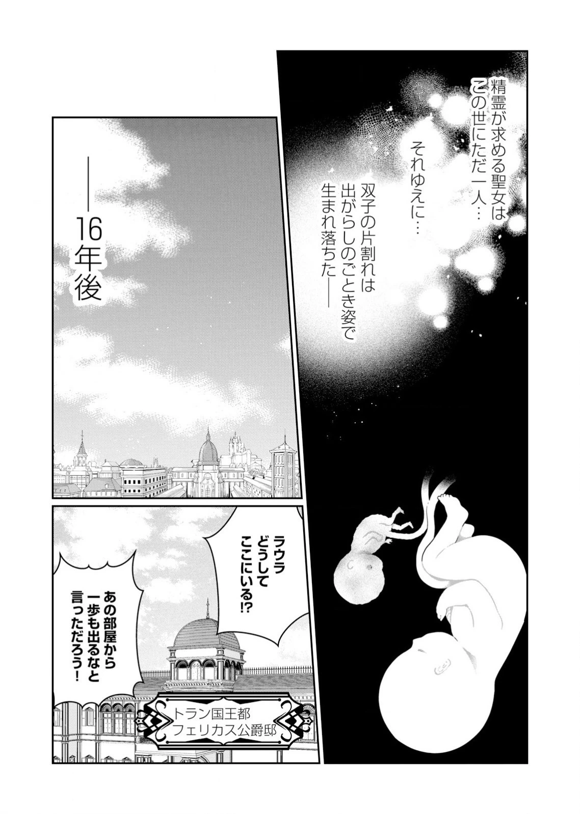 私、ずっと奪われていました ～死にぞこない聖女は聖騎士との逃避行で愛を知る～ 第1話 - 5