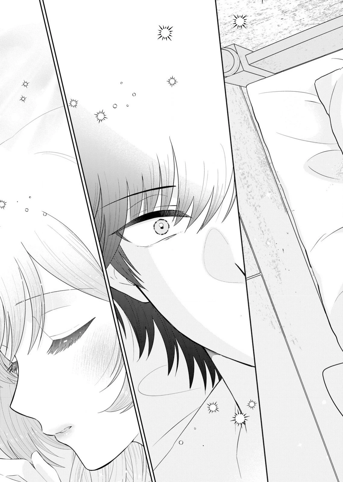 私、ずっと奪われていました ～死にぞこない聖女は聖騎士との逃避行で愛を知る～ 第1話 - 41