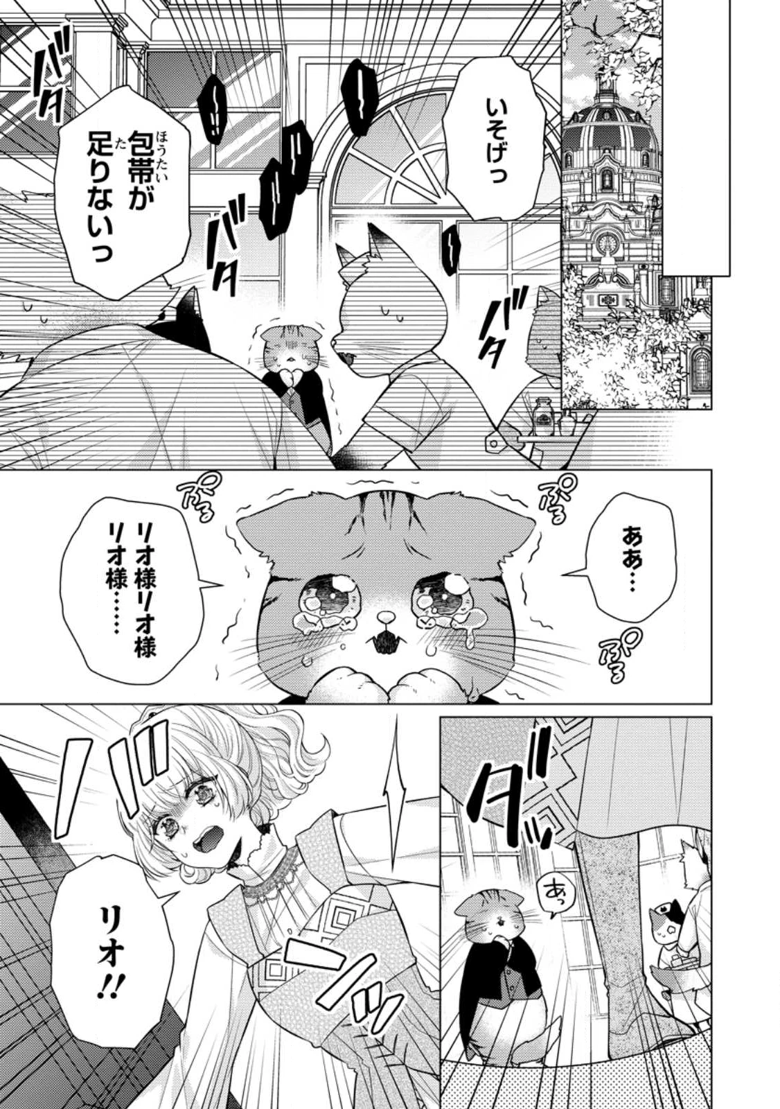 星屑の花嫁は運命の恋から逃げ出したい～王子様と強制結婚なんて無理！～ 第18.1話 - 5