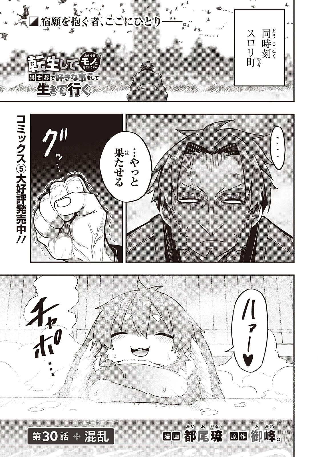 転生してあらゆるモノに好かれながら異世界で好きな事をして生きて行く 第30話 - 1