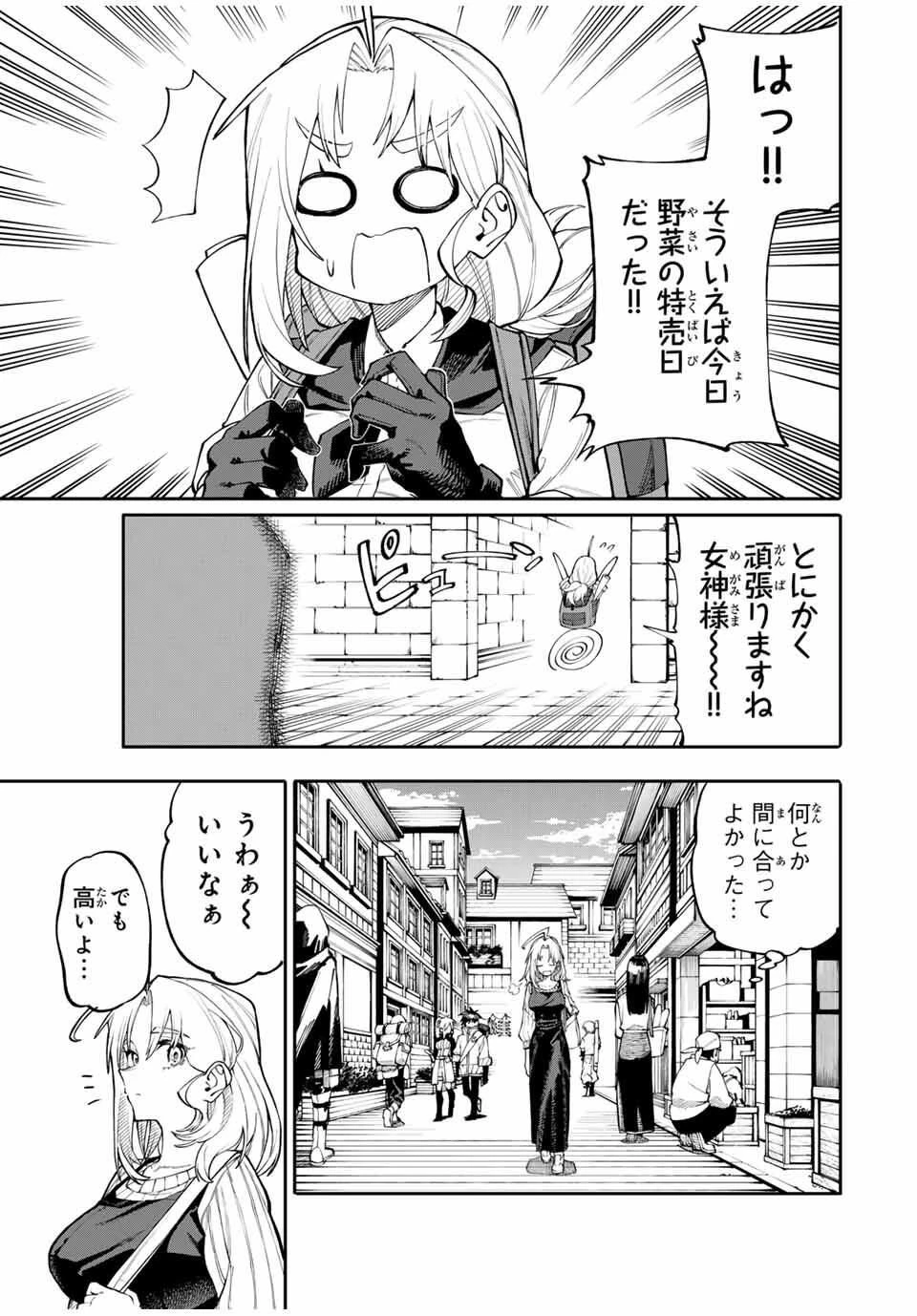 お母さん冒険者、ログインボーナスでスキル【主婦】に目覚めました。週一貰えるチラシで冒険者生活頑張ります! 第1話 - 25