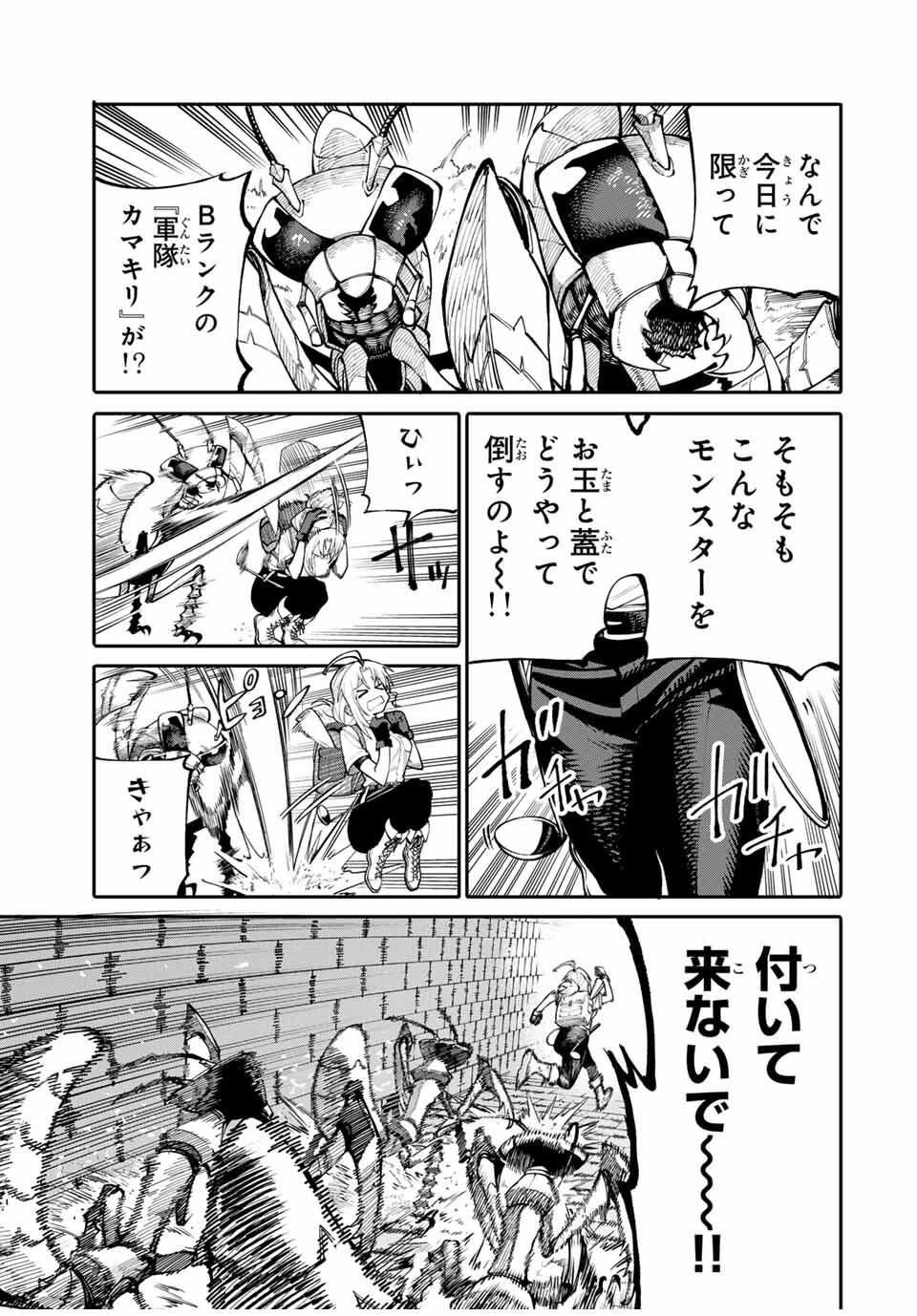 お母さん冒険者、ログインボーナスでスキル【主婦】に目覚めました。週一貰えるチラシで冒険者生活頑張ります! 第1話 - 35