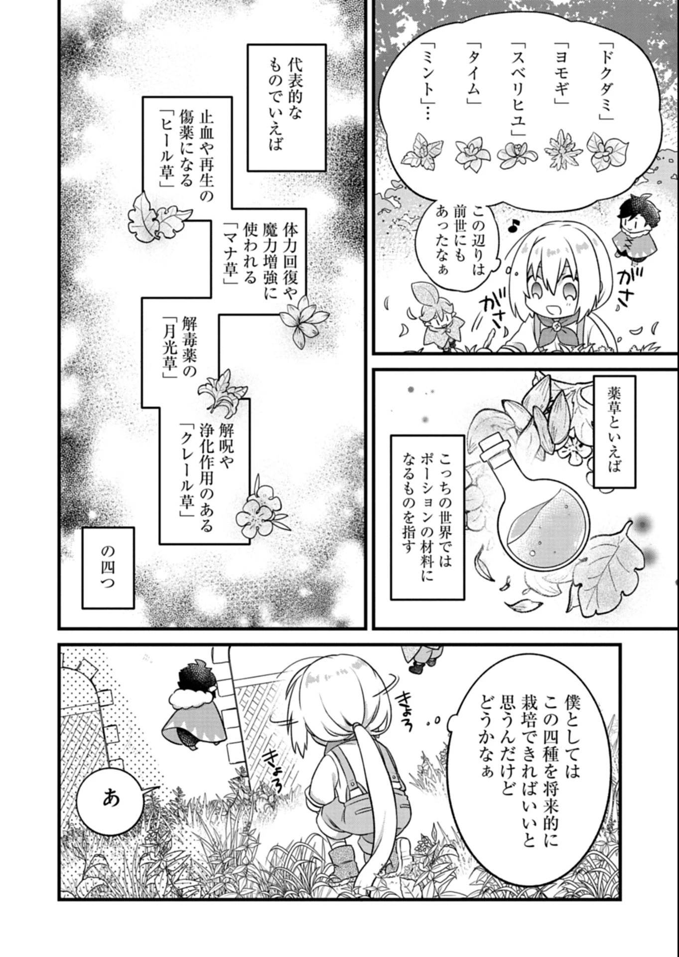 植物魔法で気ままにガーデニング・ライフ 〜ハクと精霊さんたちの植物園〜 第1話 - 36