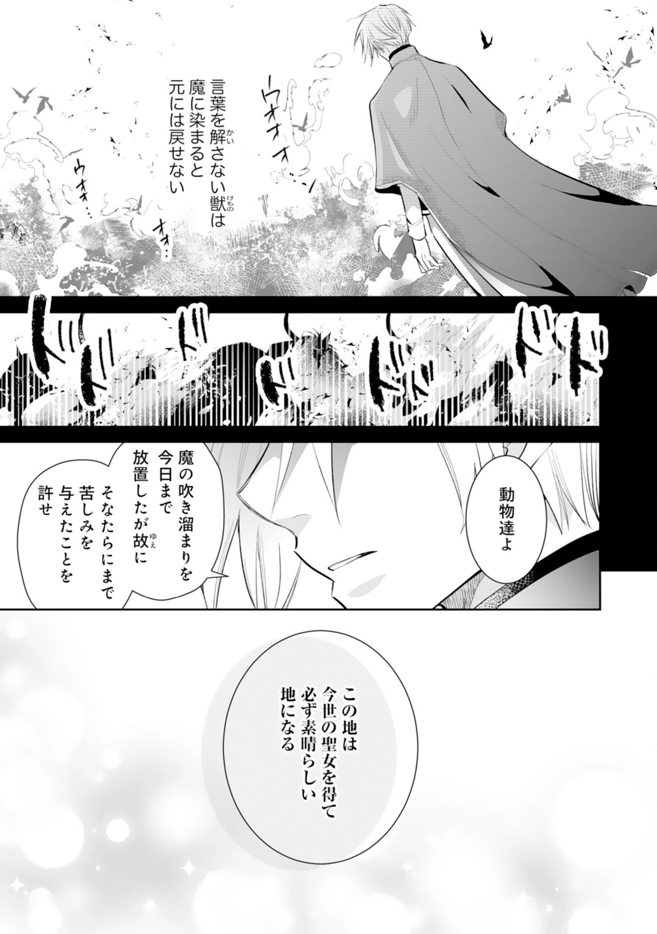 婚約破棄は本望です！聖女の力が開花したので私は自由に暮らします 第11話 - 19