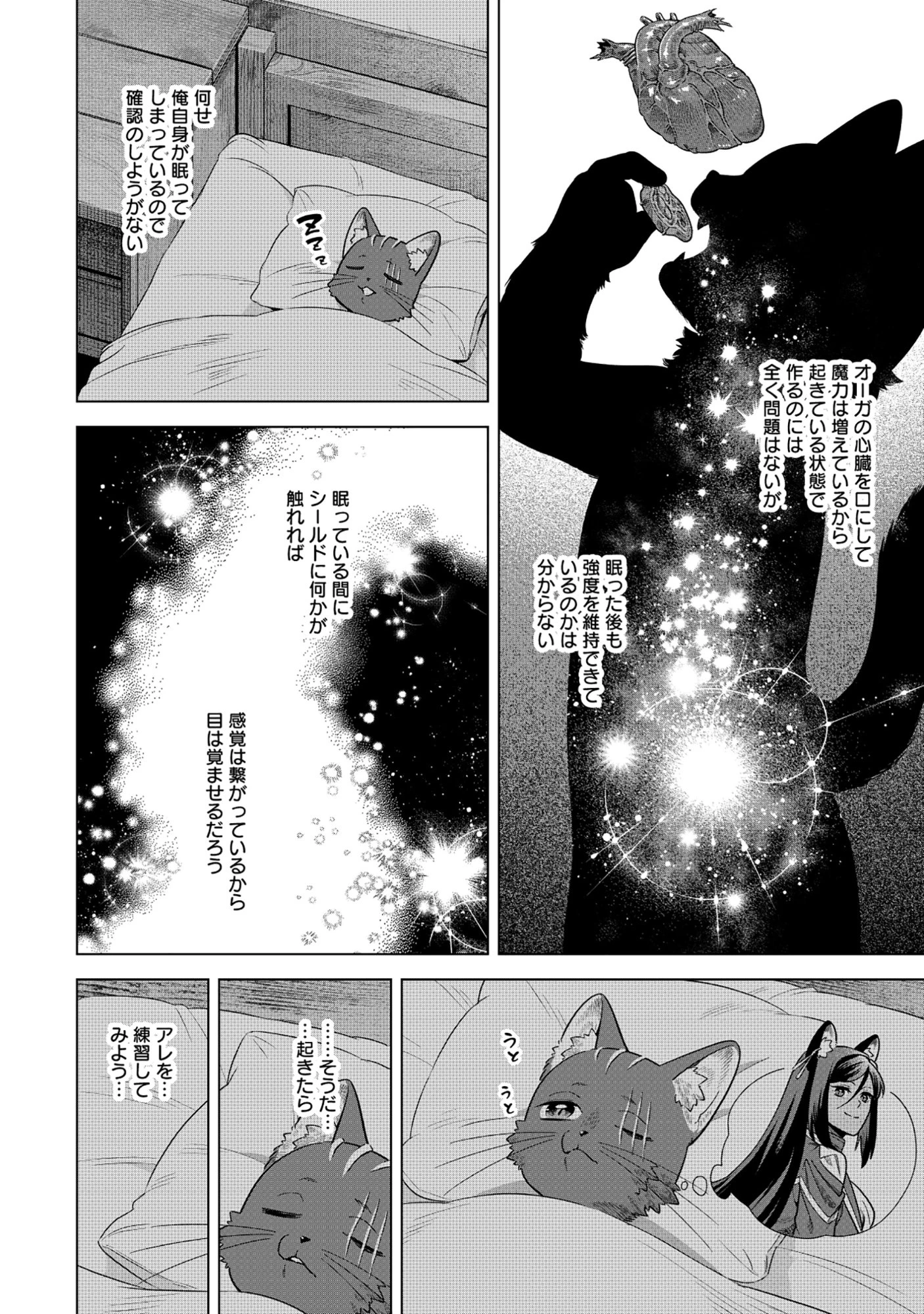 黒猫ニャンゴの冒険リブート レア属性を引き当てたので、気ままな冒険者を目指します 第6.2話 - 3