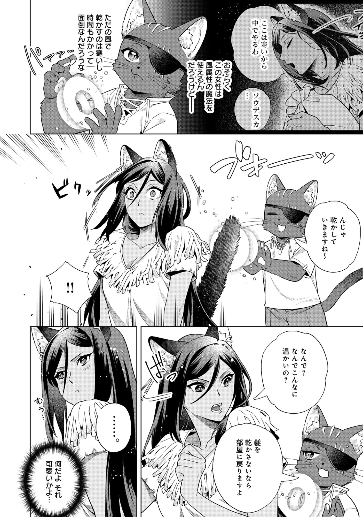 黒猫ニャンゴの冒険リブート レア属性を引き当てたので、気ままな冒険者を目指します 第6.1話 - 2