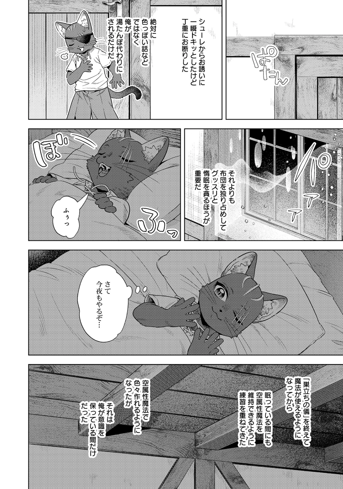 黒猫ニャンゴの冒険リブート レア属性を引き当てたので、気ままな冒険者を目指します 第6.1話 - 10