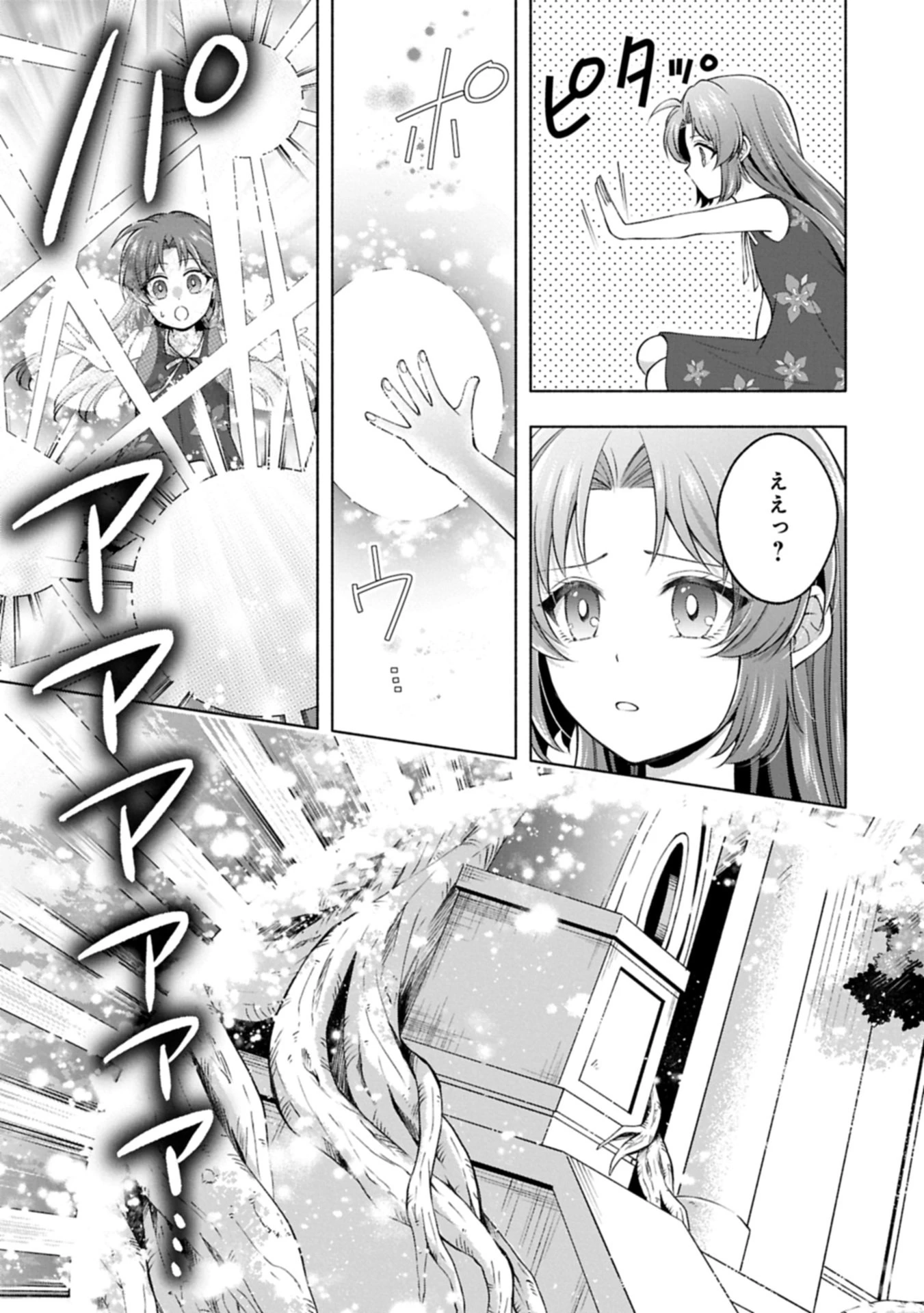 転生した大聖女は、聖女であることをひた隠す 第17.2話 - 21